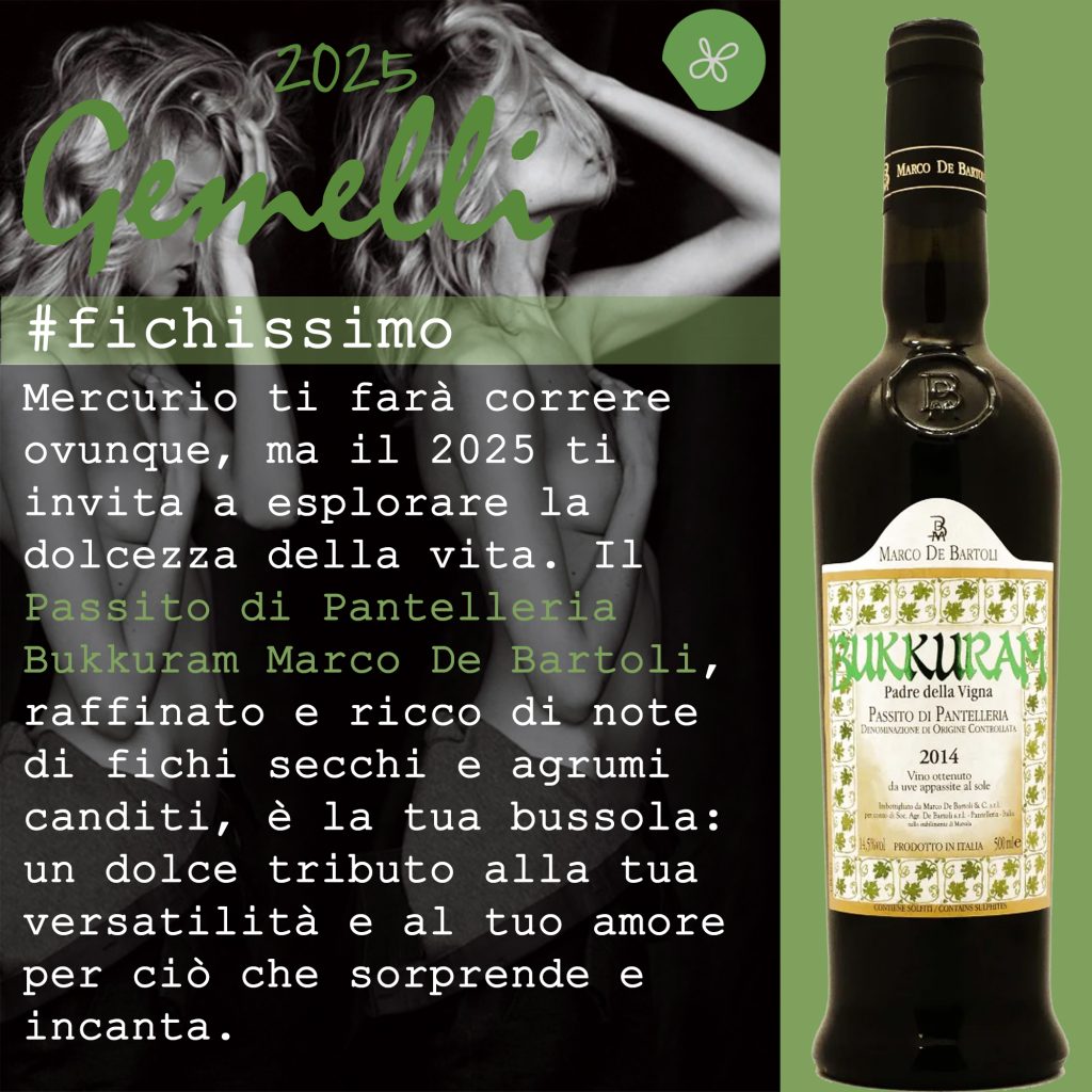 oroscopo 2025 gemelli