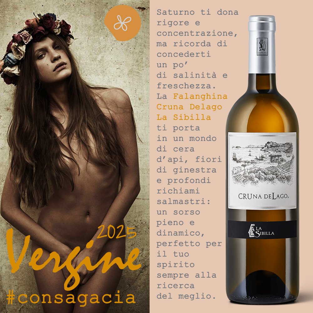 Oroscopo 2025 Vergine