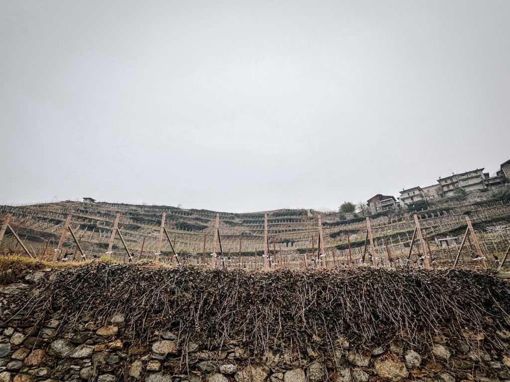 vini della valtellina 
