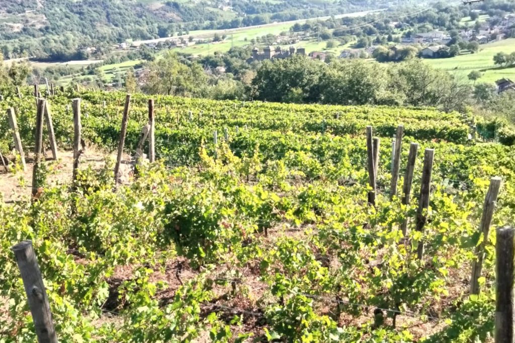 vino valle d'aosta leffrey