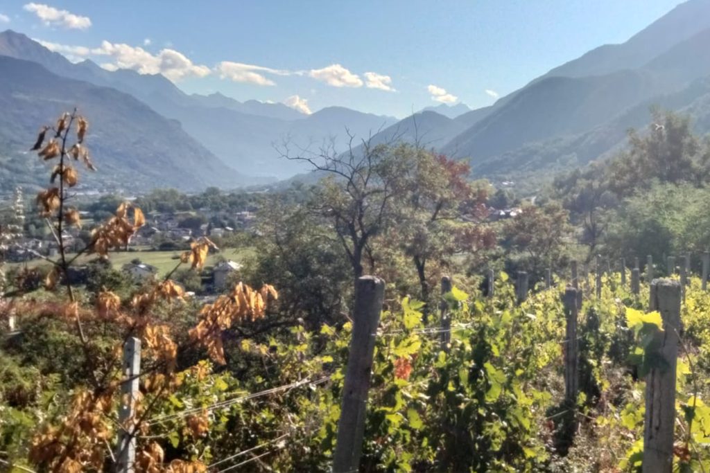 vino valle d'aosta 04