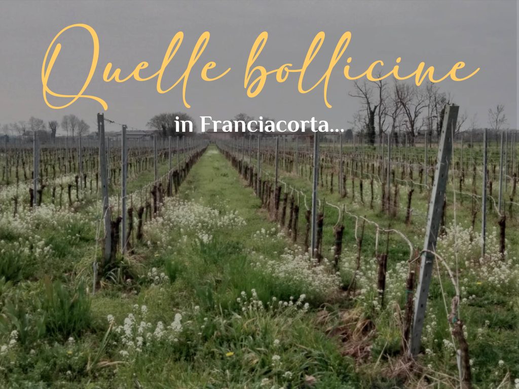 bollicine franciacorta