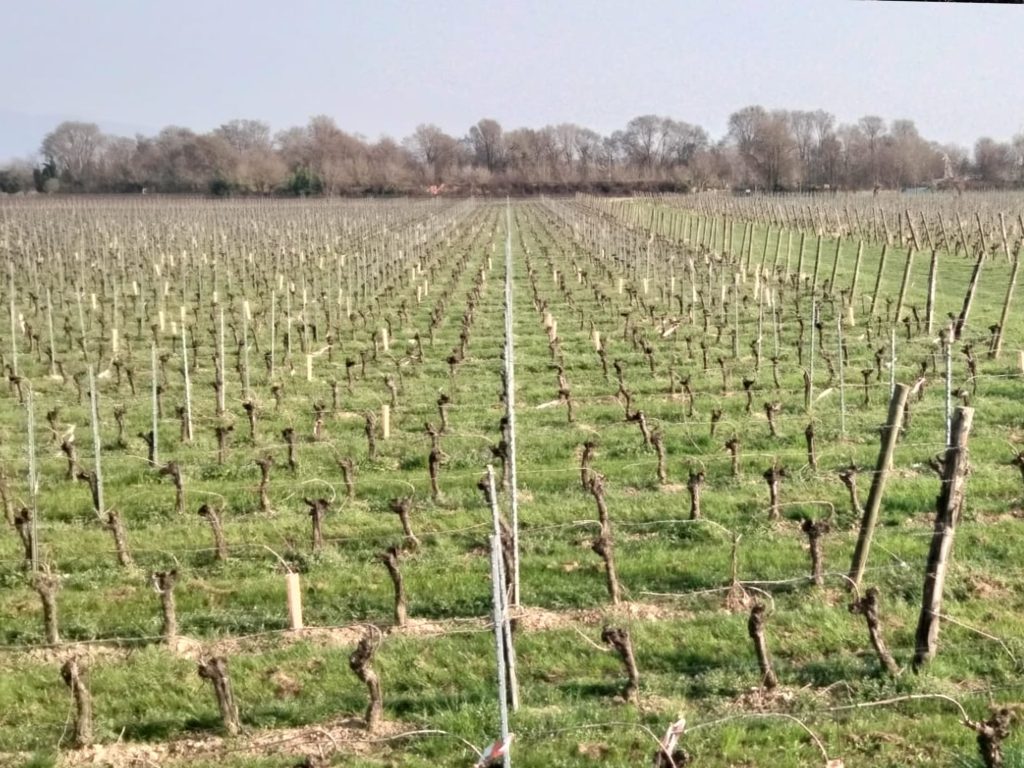 romantica franciacorta 03