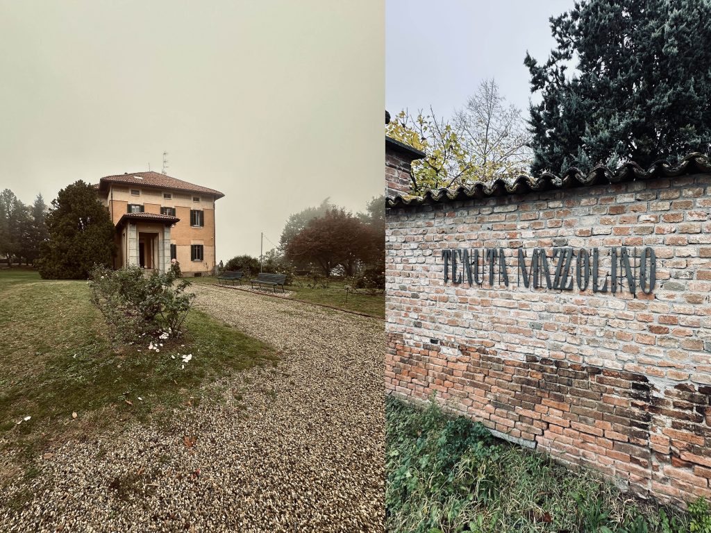 tenuta mazzolino 01