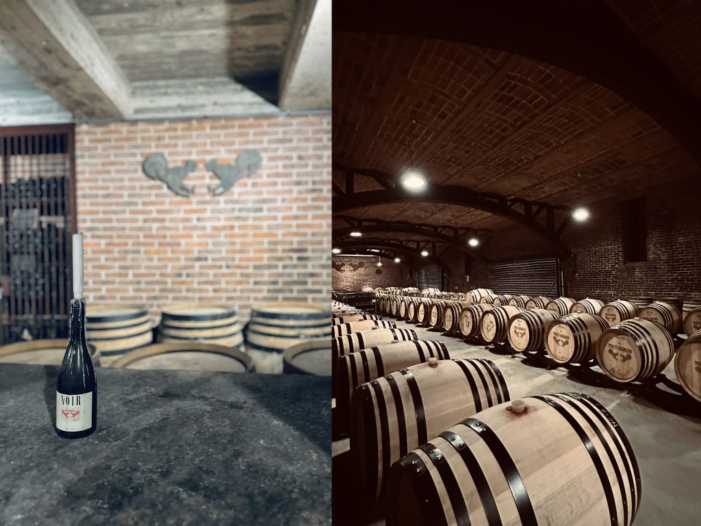 tenuta mazzolino 02