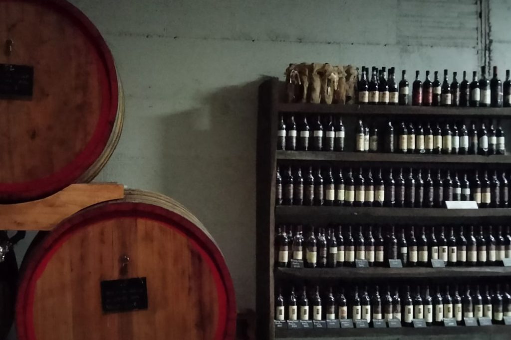 vini calabresi cantine lavorata 04