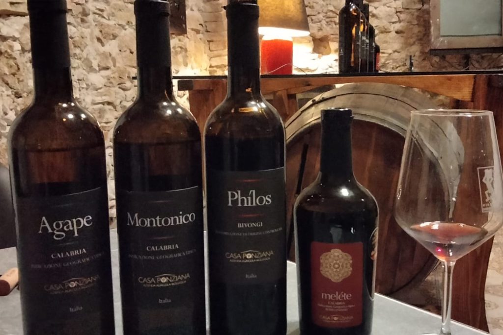 vini calabresi casa ponziana 02