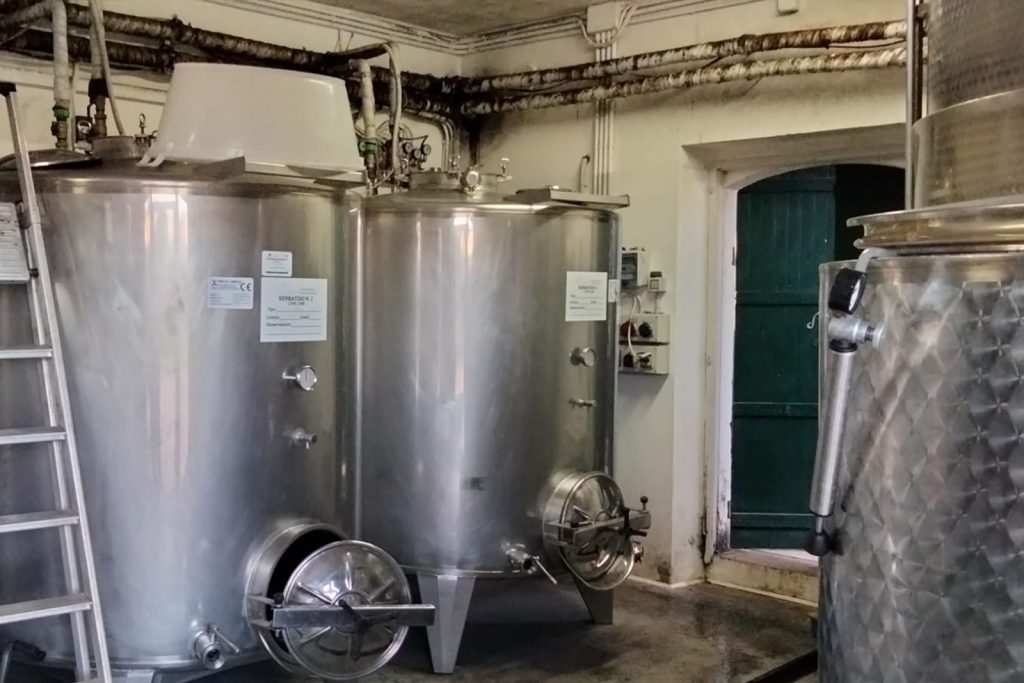 vini calabresi casa ponziana 03