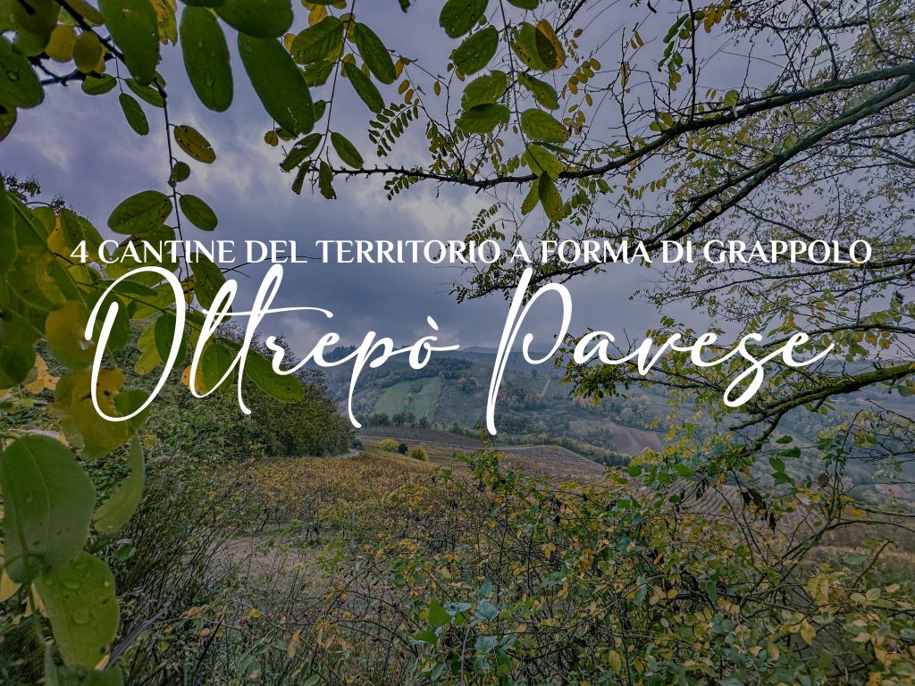 vini oltrepo pavese
