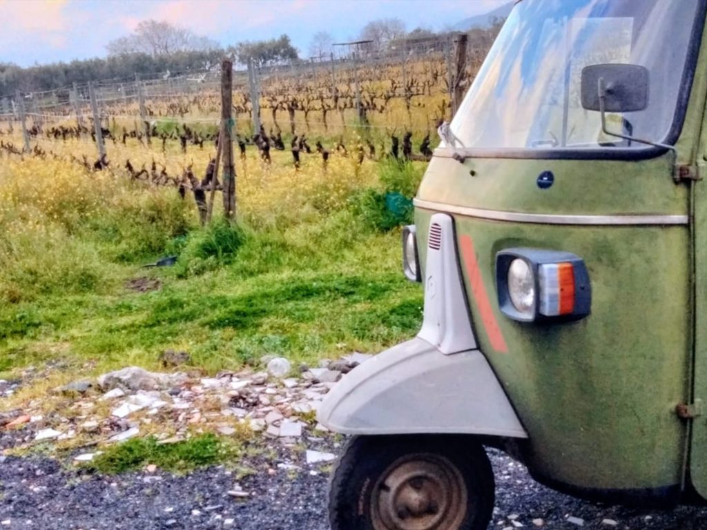 azienda agricola sofia etna 02