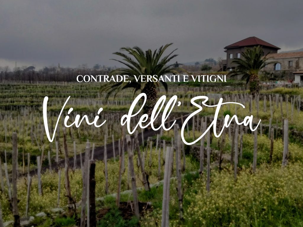 vini dell'etna territorio e cantine